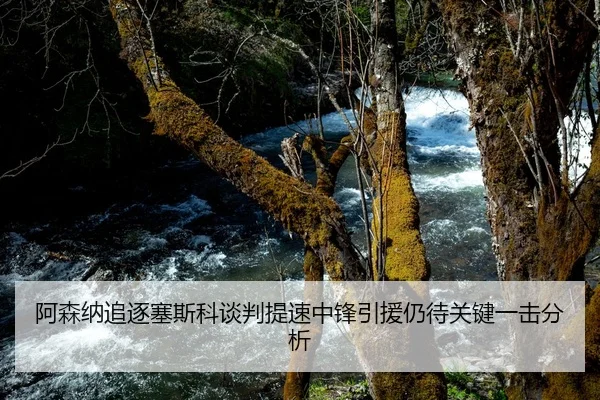 阿森纳追逐塞斯科谈判提速中锋引援仍待关键一击分析