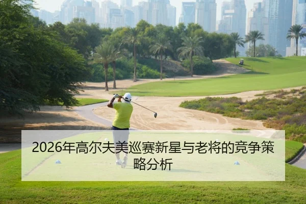 2026年高尔夫美巡赛新星与老将的竞争策略分析