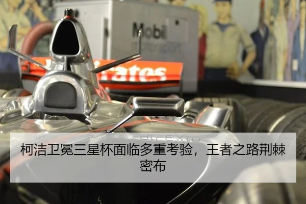 ke-jie-wei-mian-san-xing-bei-mian-lin-duo-zhong-kao-yan-wang-zhe-zhi-lu-jing-ji-mi-bu-1-804.jpg