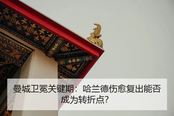 man-cheng-wei-mian-guan-jian-qi-ha-lan-de-shang-yu-fu-chu-neng-fou-cheng-wei-zhuan-zhe-dian-2-277.jpg