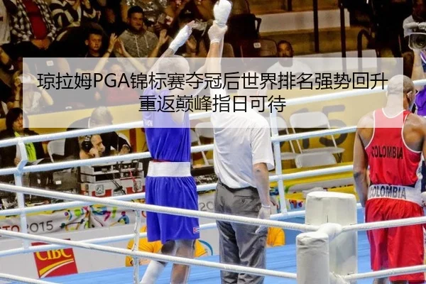 琼拉姆PGA锦标赛夺冠后世界排名强势回升 重返巅峰指日可待