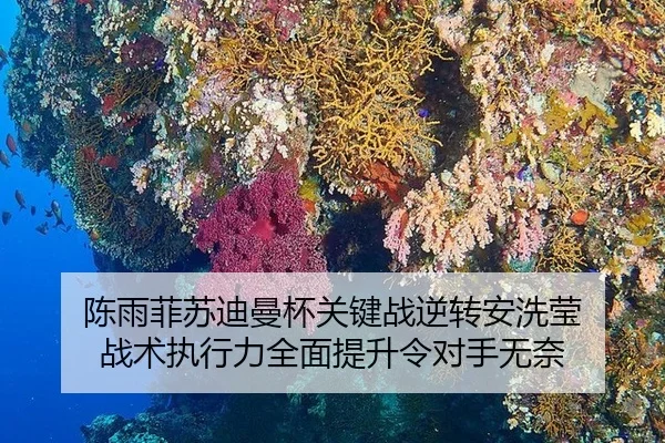 陈雨菲苏迪曼杯关键战逆转安洗莹 战术执行力全面提升令对手无奈