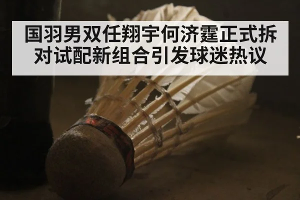 国羽男双任翔宇何济霆正式拆对试配新组合引发球迷热议