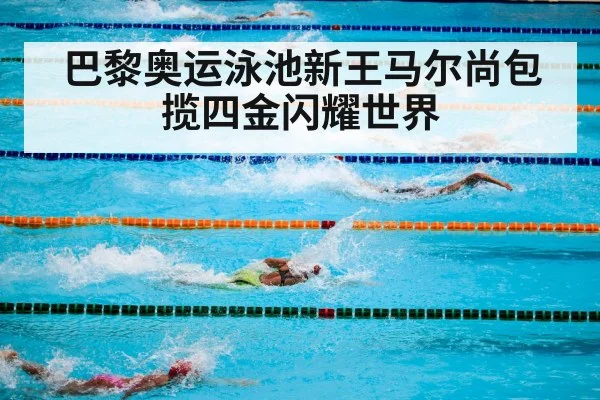 巴黎奥运泳池新王马尔尚包揽四金闪耀世界